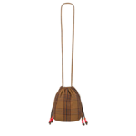 SAC PALOMA TARTAN ROSE IN APRIL1