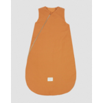 gigoteuse nid dabeille caramel3