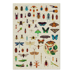puzzle-insectes-500-pieces