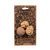 nutty-the-walnut2