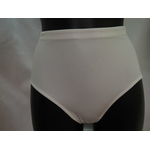 Culotte simple polyamide DF0050 Blanche Fraly 1