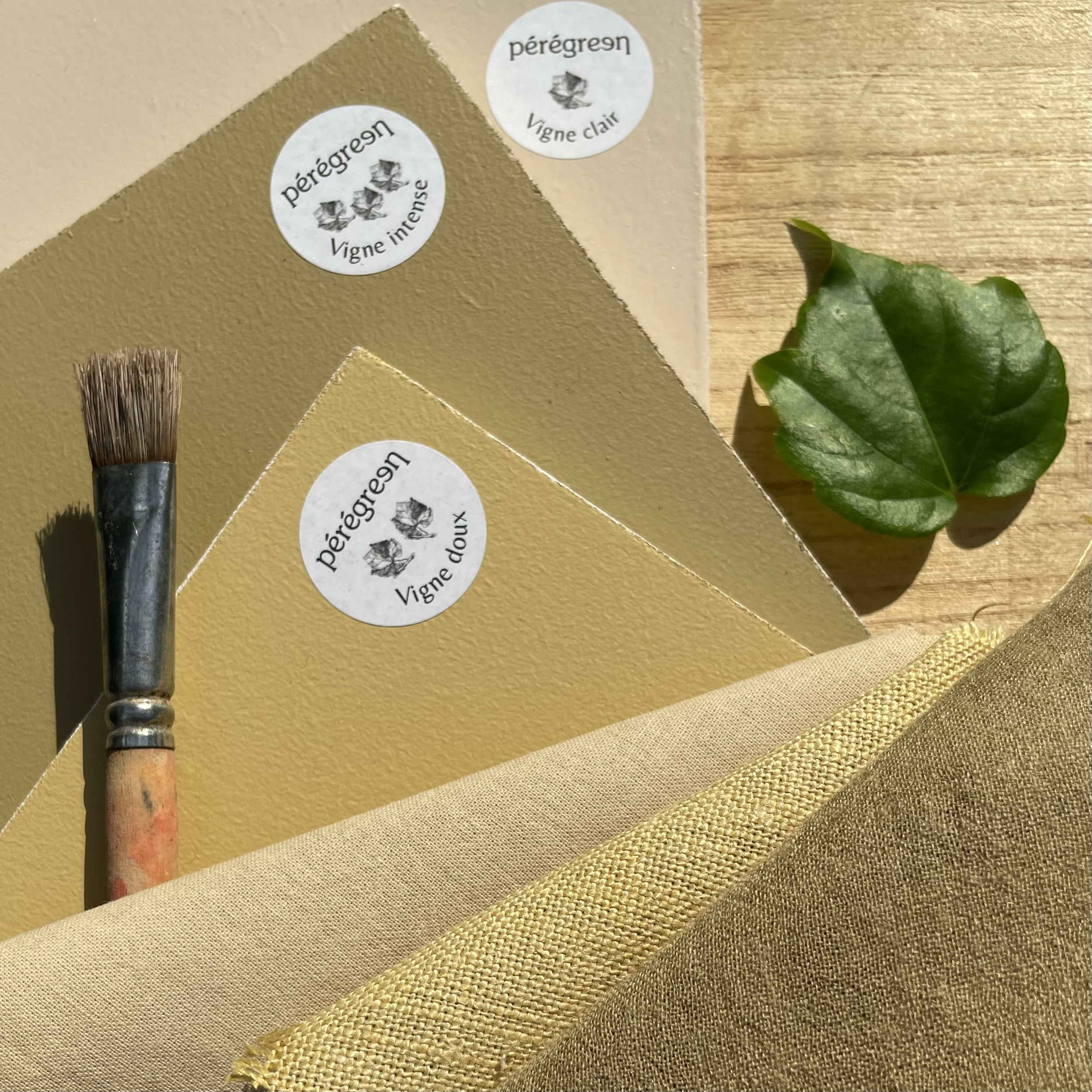 peregreen teinture baho peinture vigne