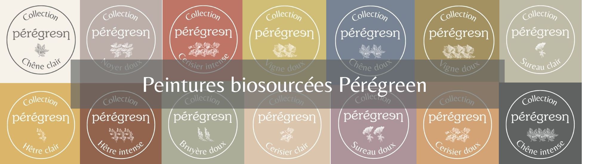 decouvrir l entre monde des couleurs vegetales 2