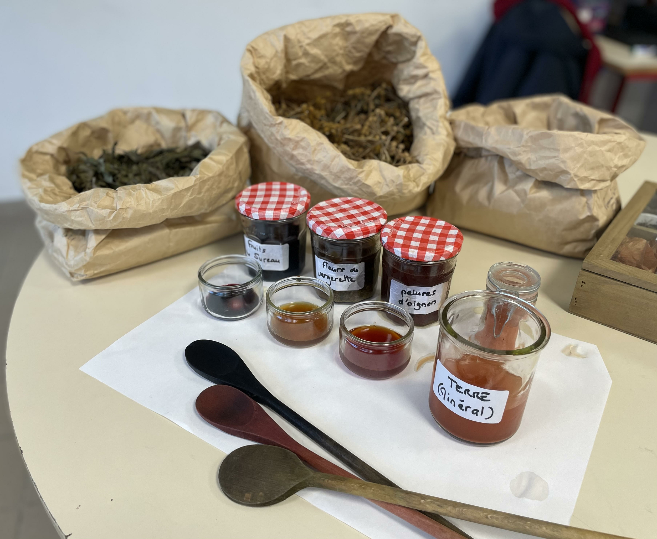 atelier decouverte colorants vegetaux college peregreen