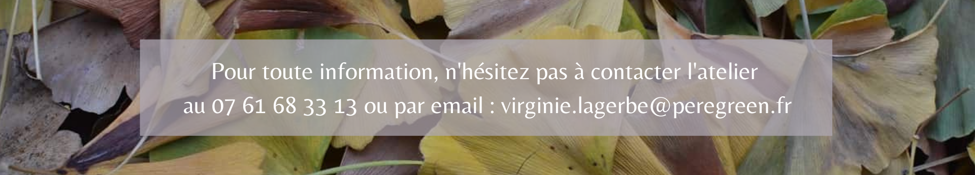 banniere information peregreen