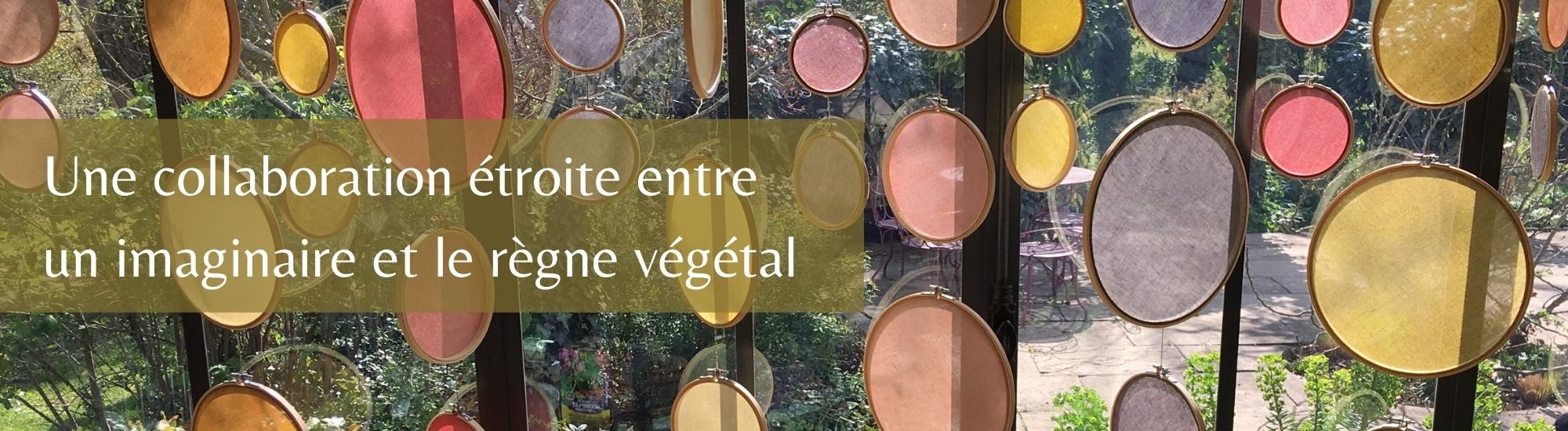 decouvrir l entre monde des couleurs vegetales