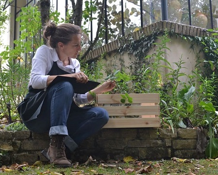 peregreen etude exploratoire jardin tinctoriales