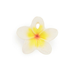hawaii-the-flower