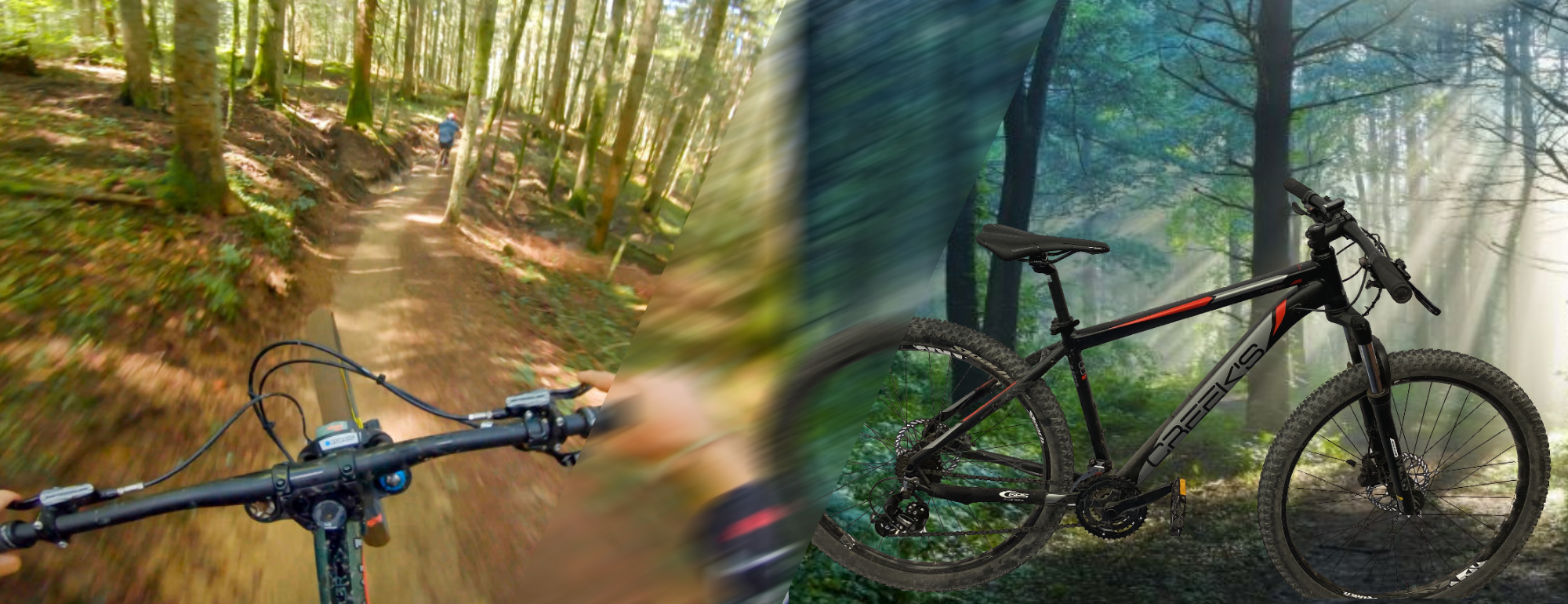 Location VTT musculaire