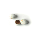 138b-oeuf-mouette-paques-chocolatiersablais