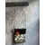IMG-20231117-WA0057