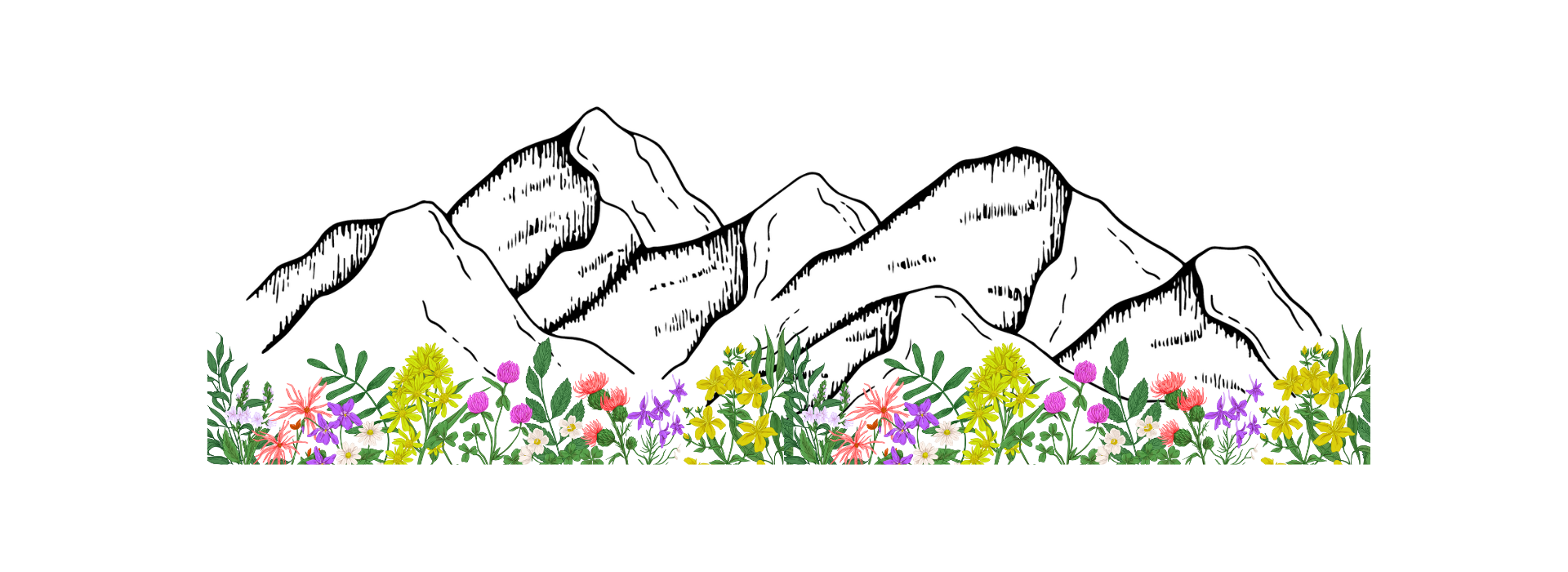 montagnes