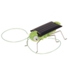 sauterelle-1-1272055752