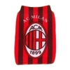 milan-1-1271682571