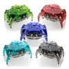 crabe-1277718315