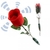 eden-rose-1277712741