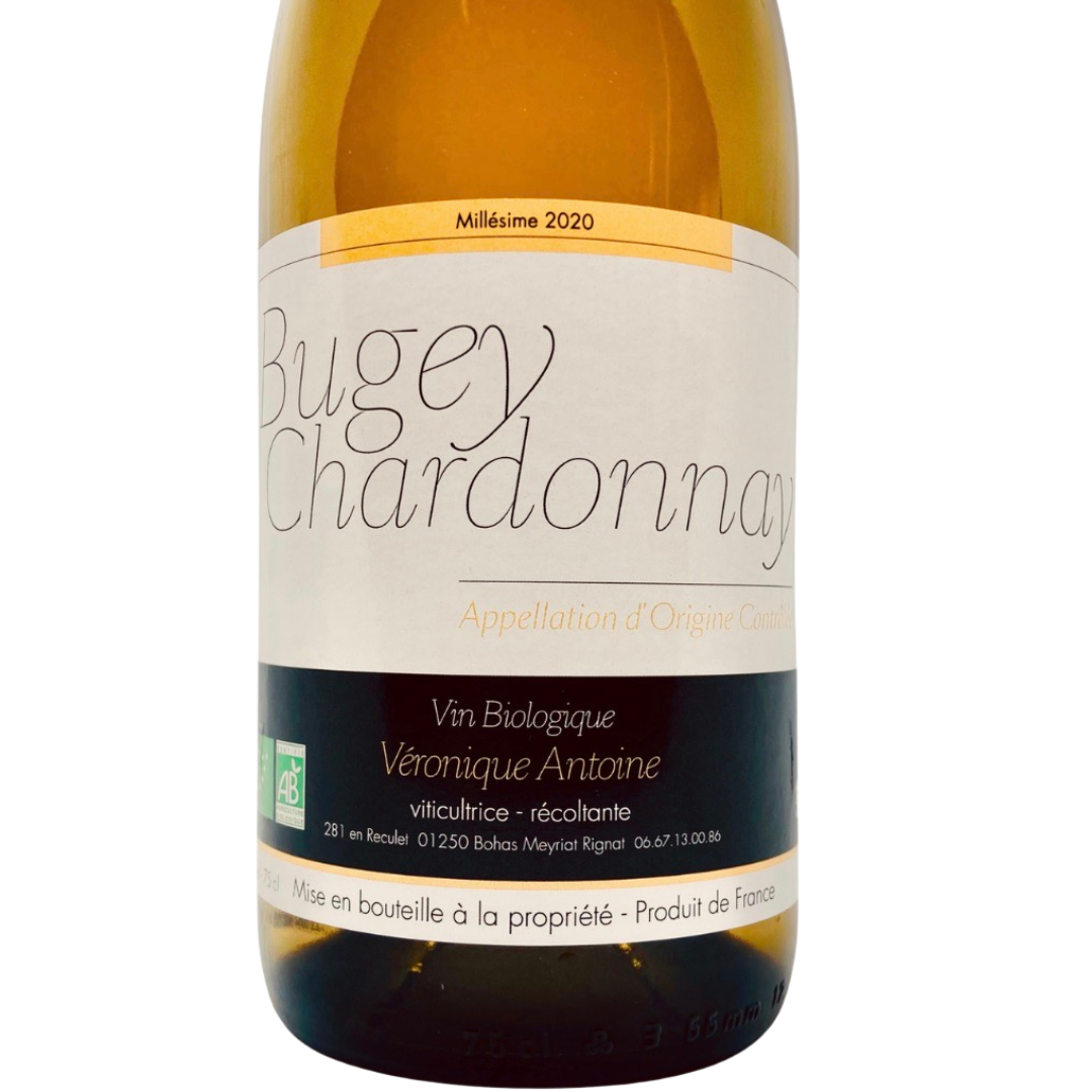 Chardonnay