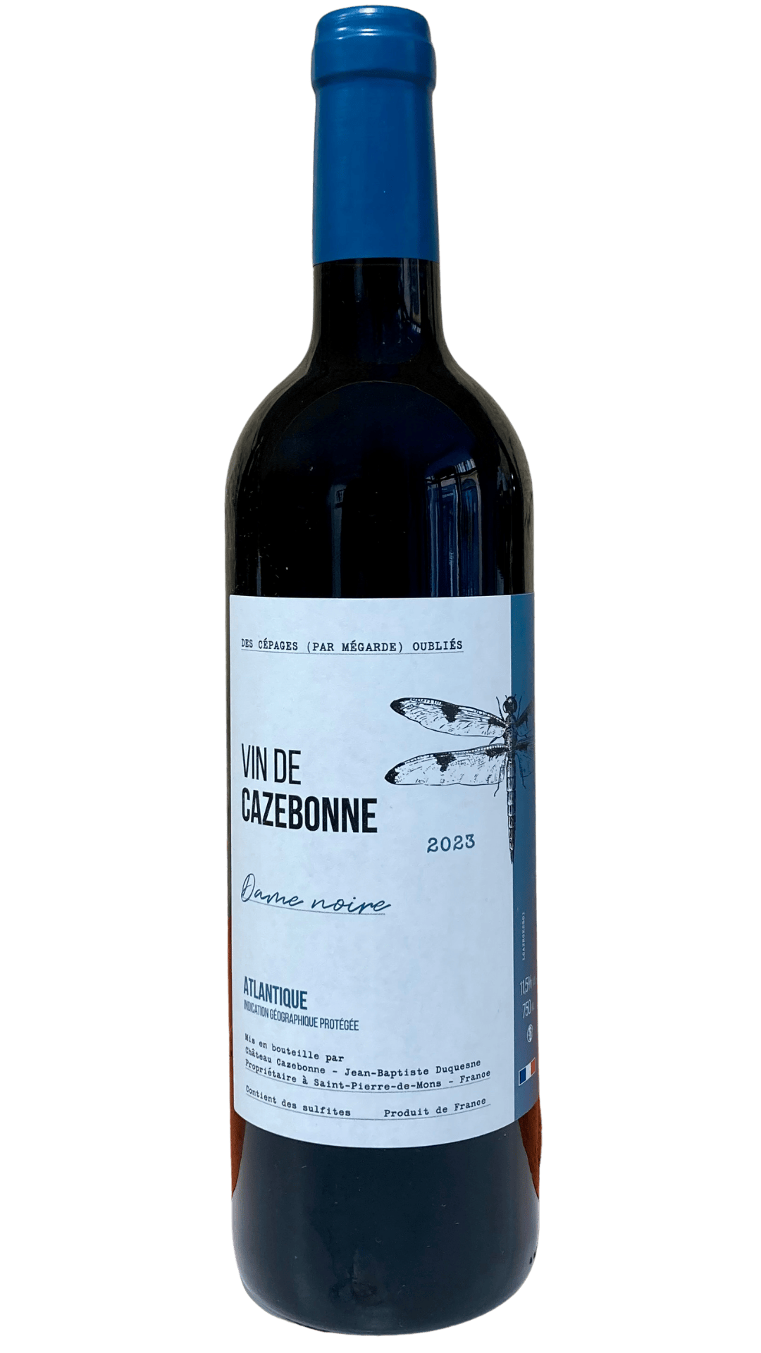bordeaux-cazebonne-damenoire#01