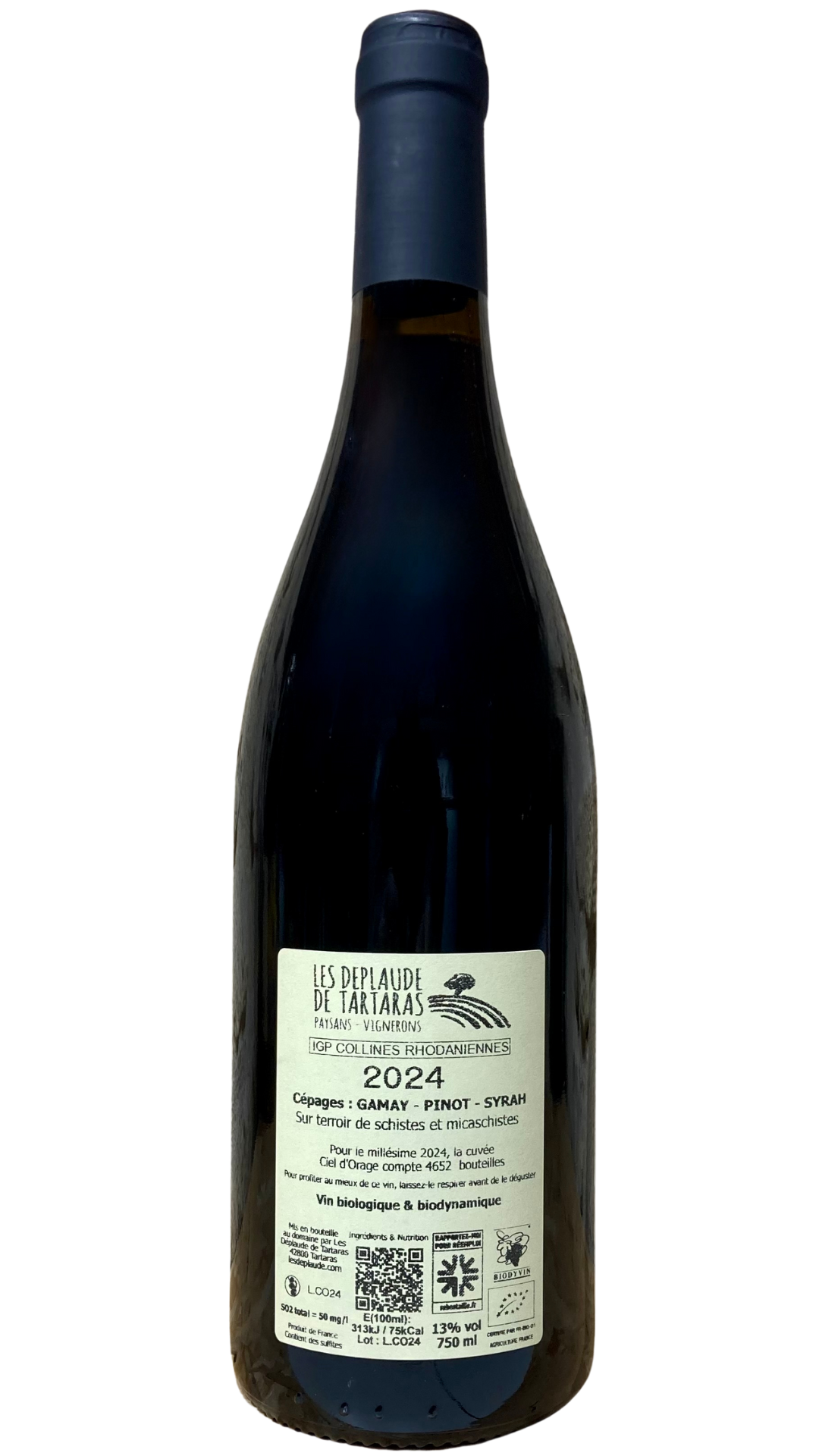 rhone-deplaudetartaras-cielorage02