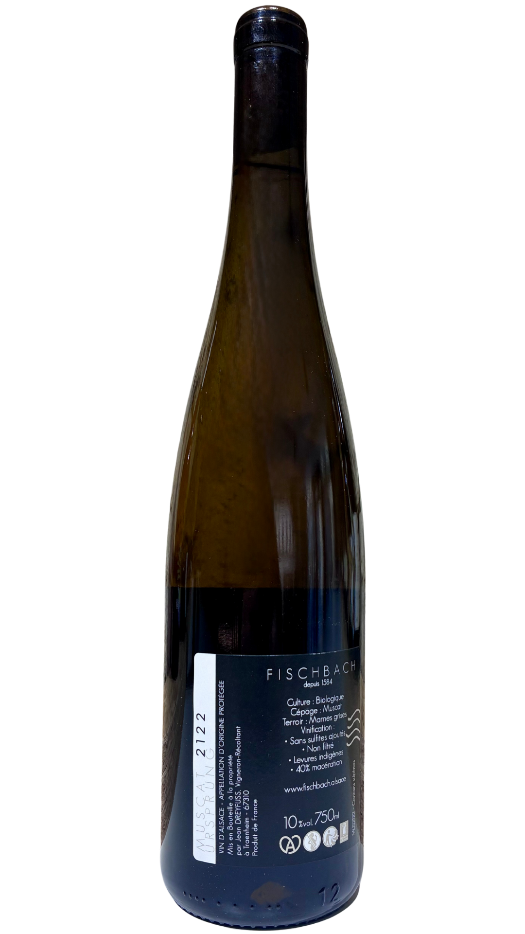 alsace-fischbach-muscat02
