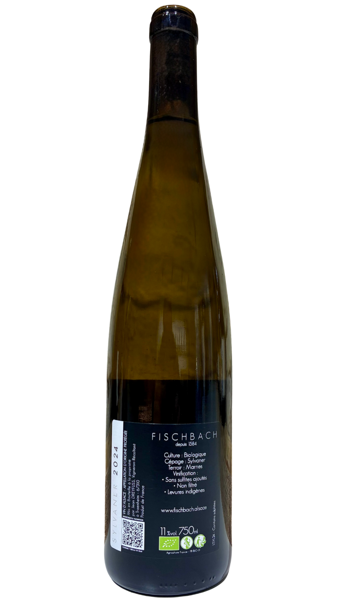 alsace-fischbach-sylvaner02