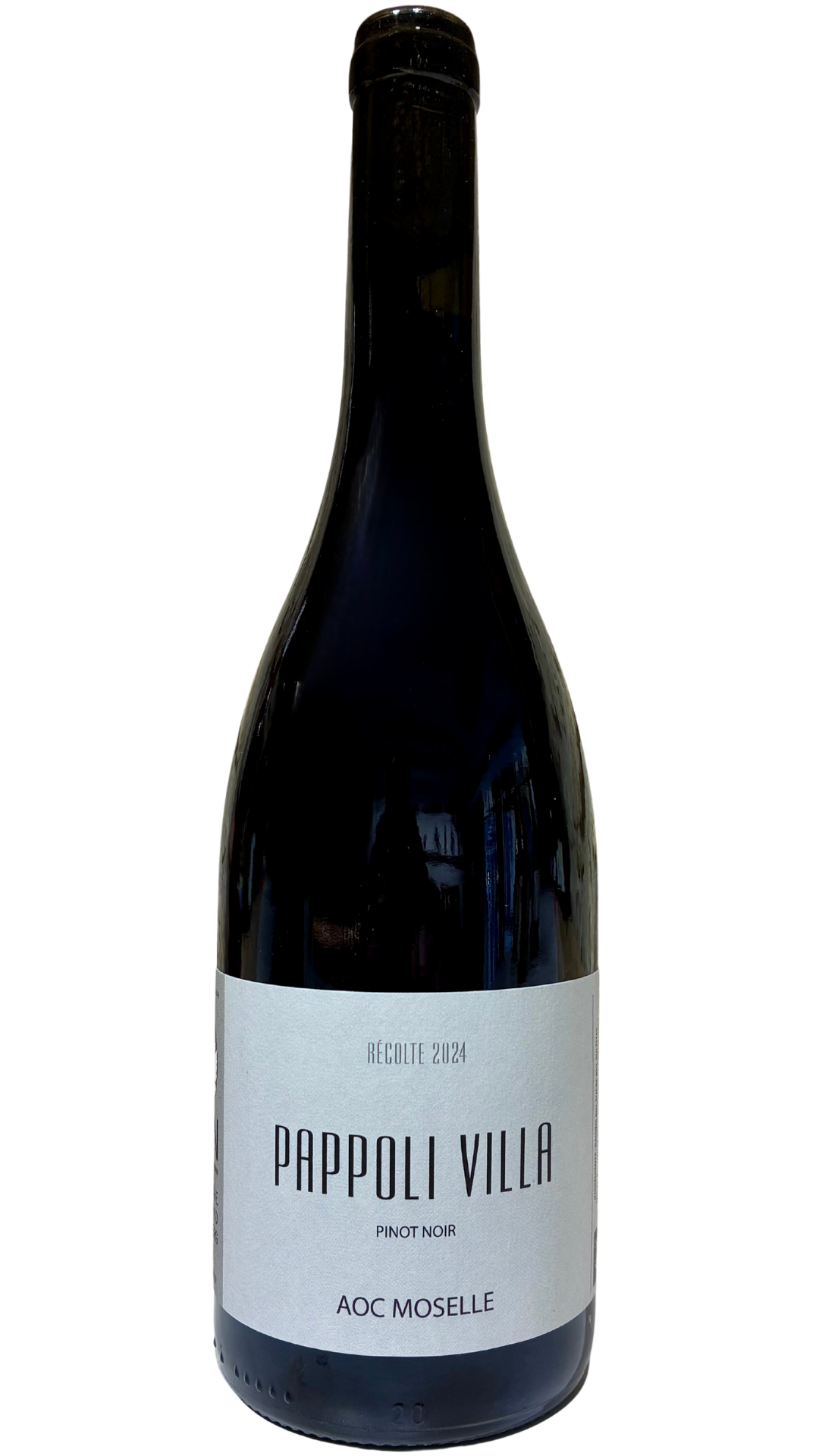lorraine-maujardweinsberg-pappolipinotnoir01