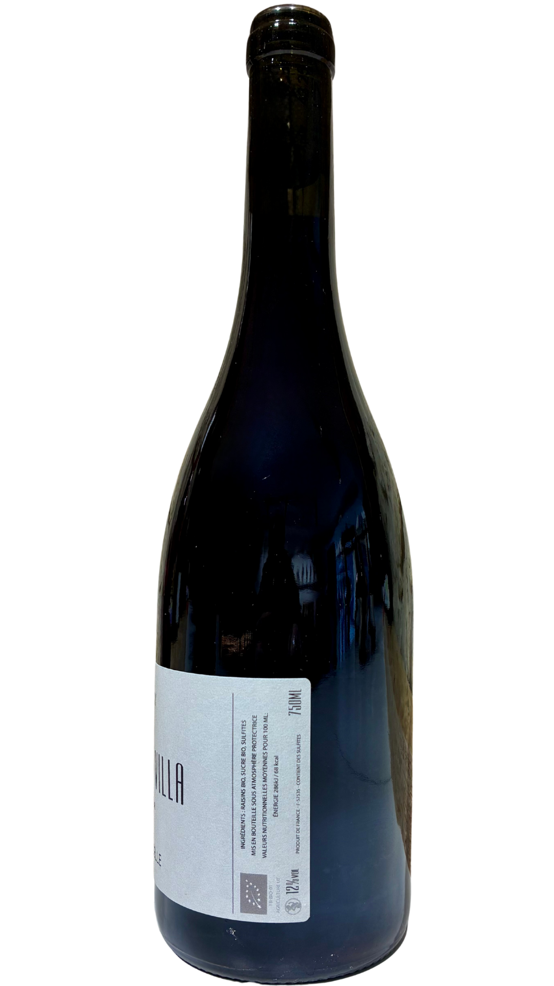 lorraine-maujardweinsberg-pappolipinotnoir03