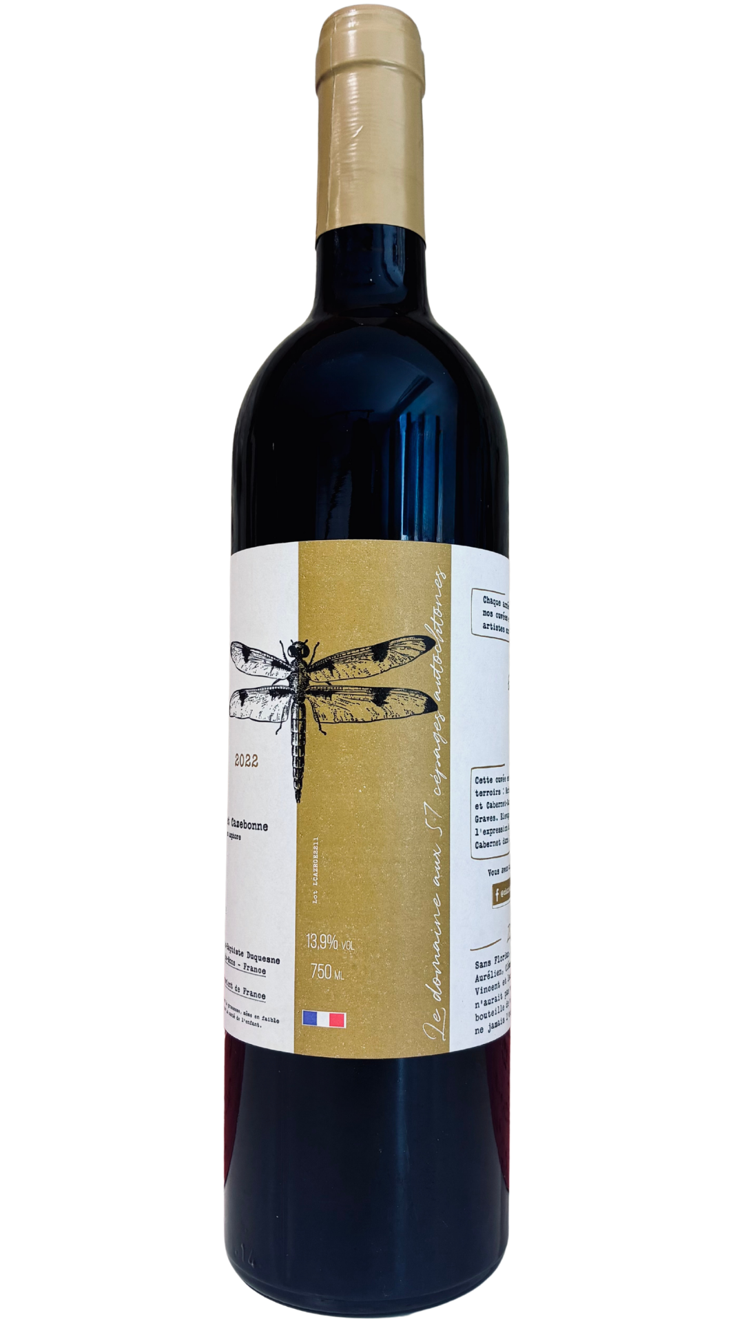 bordeaux-cazebonne-synergie22#02