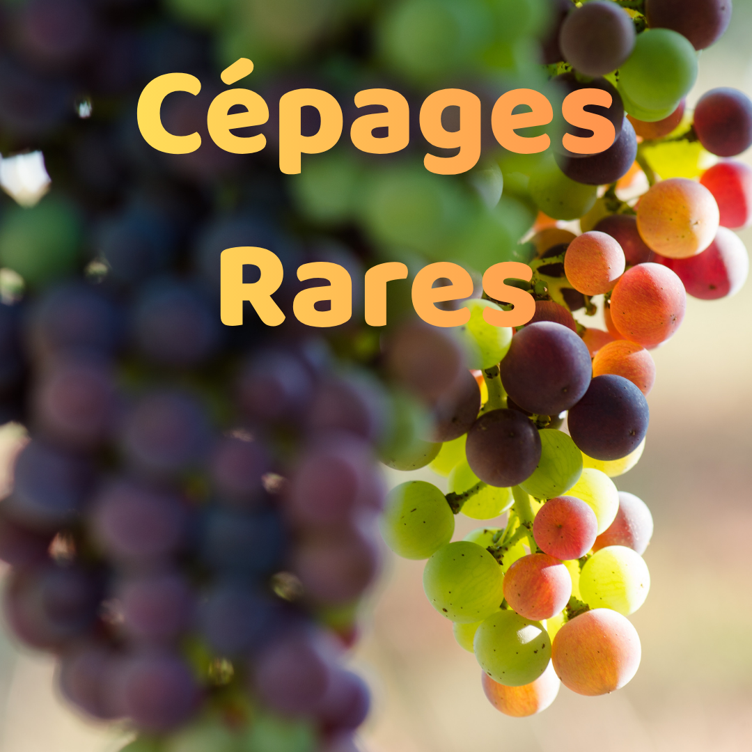 atelier-cepages-rares