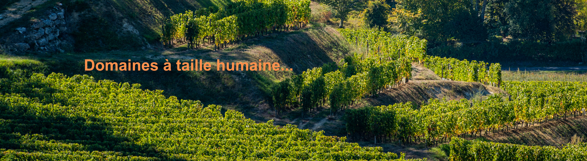 domaines a taille humaine
