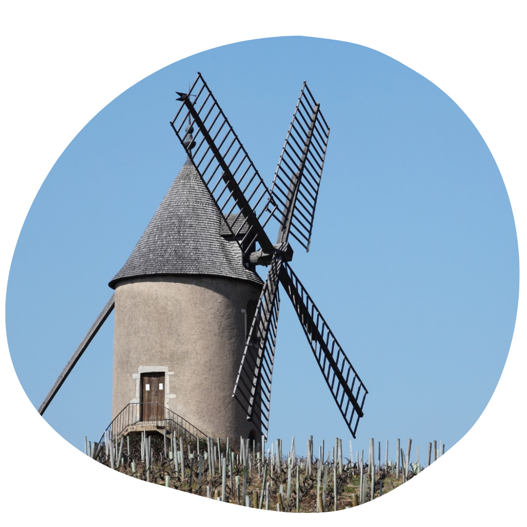 origine-beaujolais