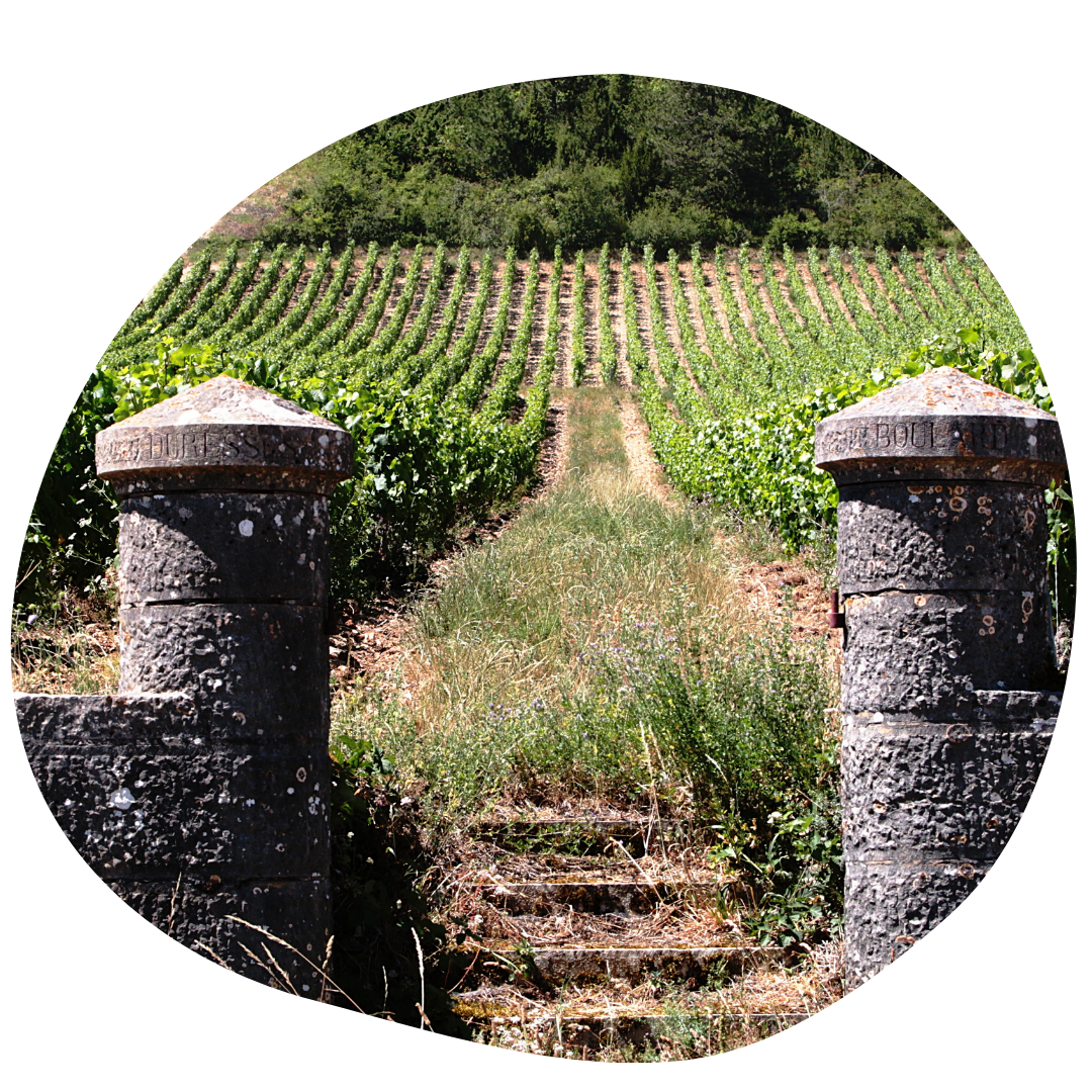 origine-bourgogne