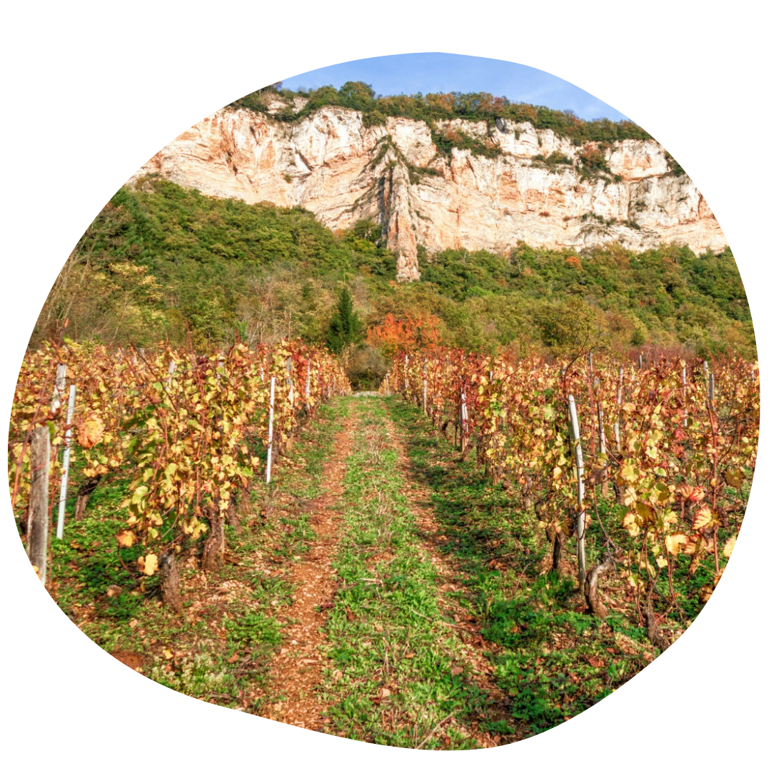origine-bugey