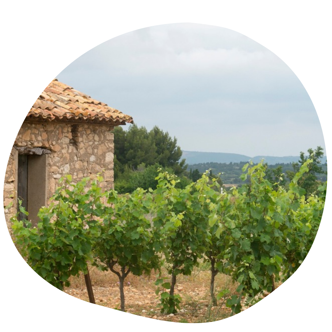 origine-languedoc