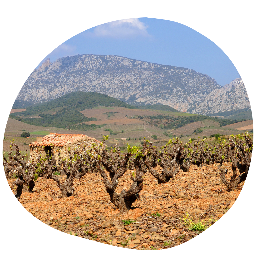 origine-roussillon