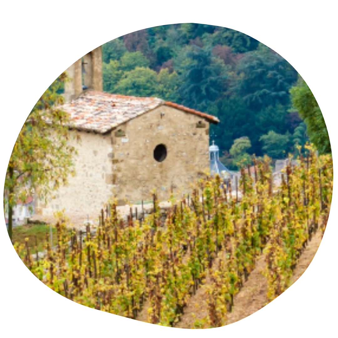 origine-rhone