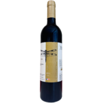 bordeaux-cazebonne-synergie22#02