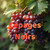 atelier-cepages-noirs