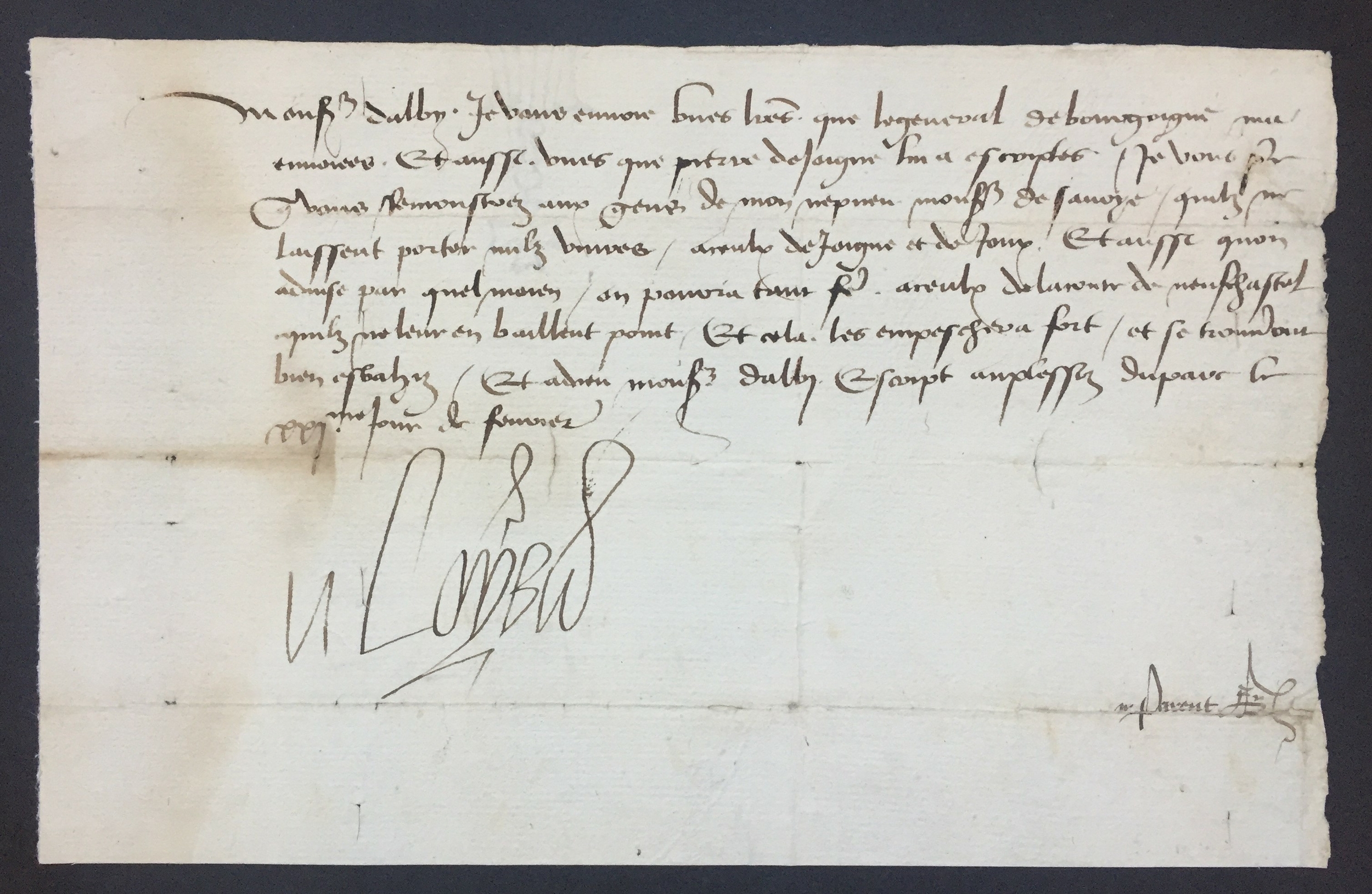 louisxi 1