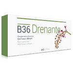 B36-drenante-detoxificacion-depuracion-higado-fucus-vesiculosus-zarzaparrilla-melisa-fumaria-anis-bioespana (1)
