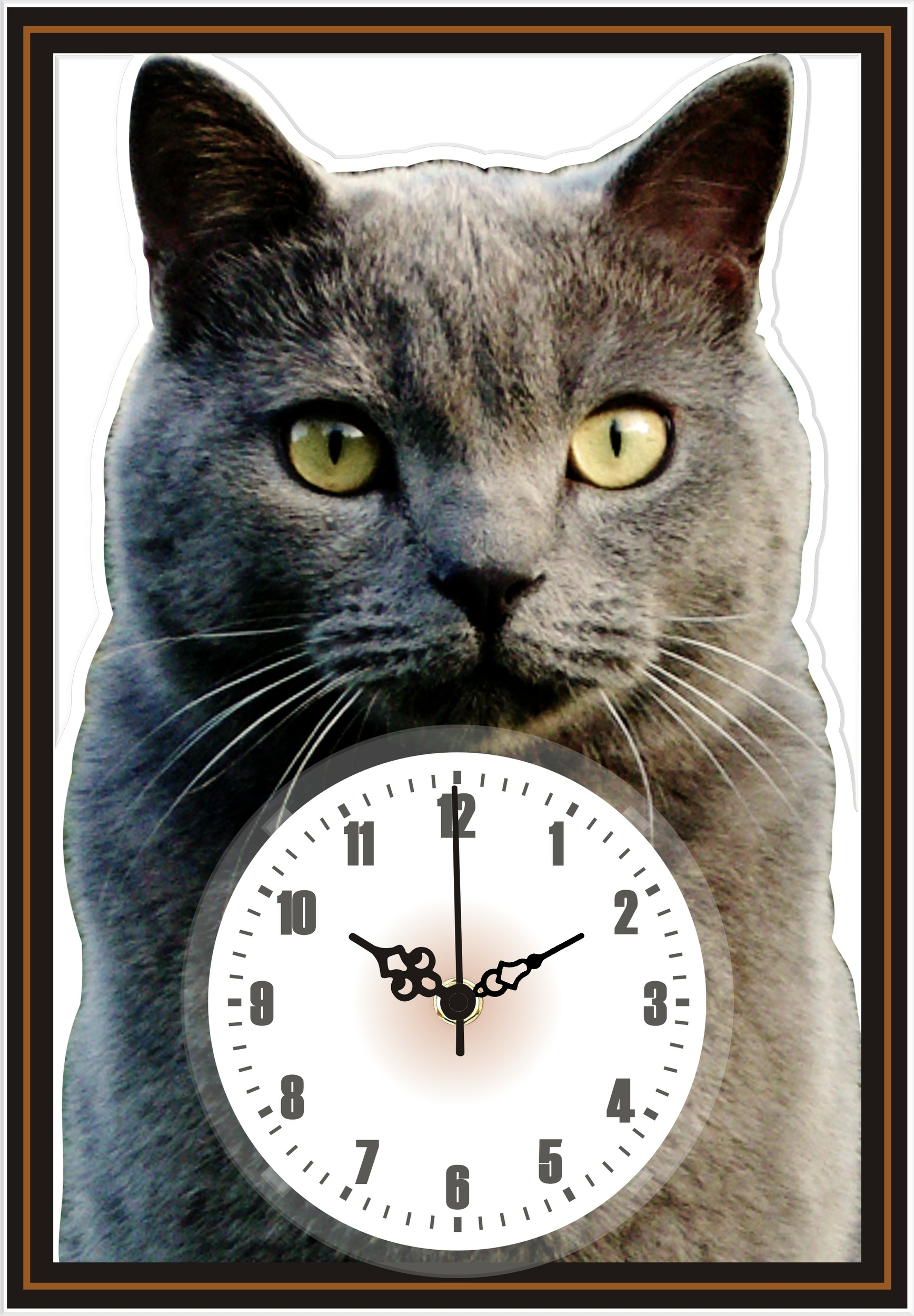 Horloges Murales Personnalisees Animaux Personnalisables Photo Et Texte Kdoartisanal