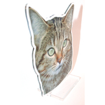 idee-cadeau-statuette-photo-personnalisee-chat-europeen-recto-verso-droit