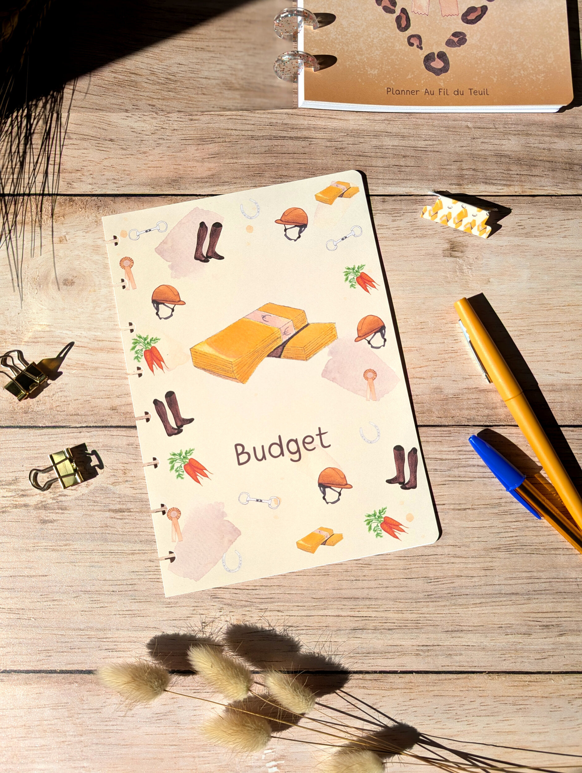 intercalaire budget classique réduit