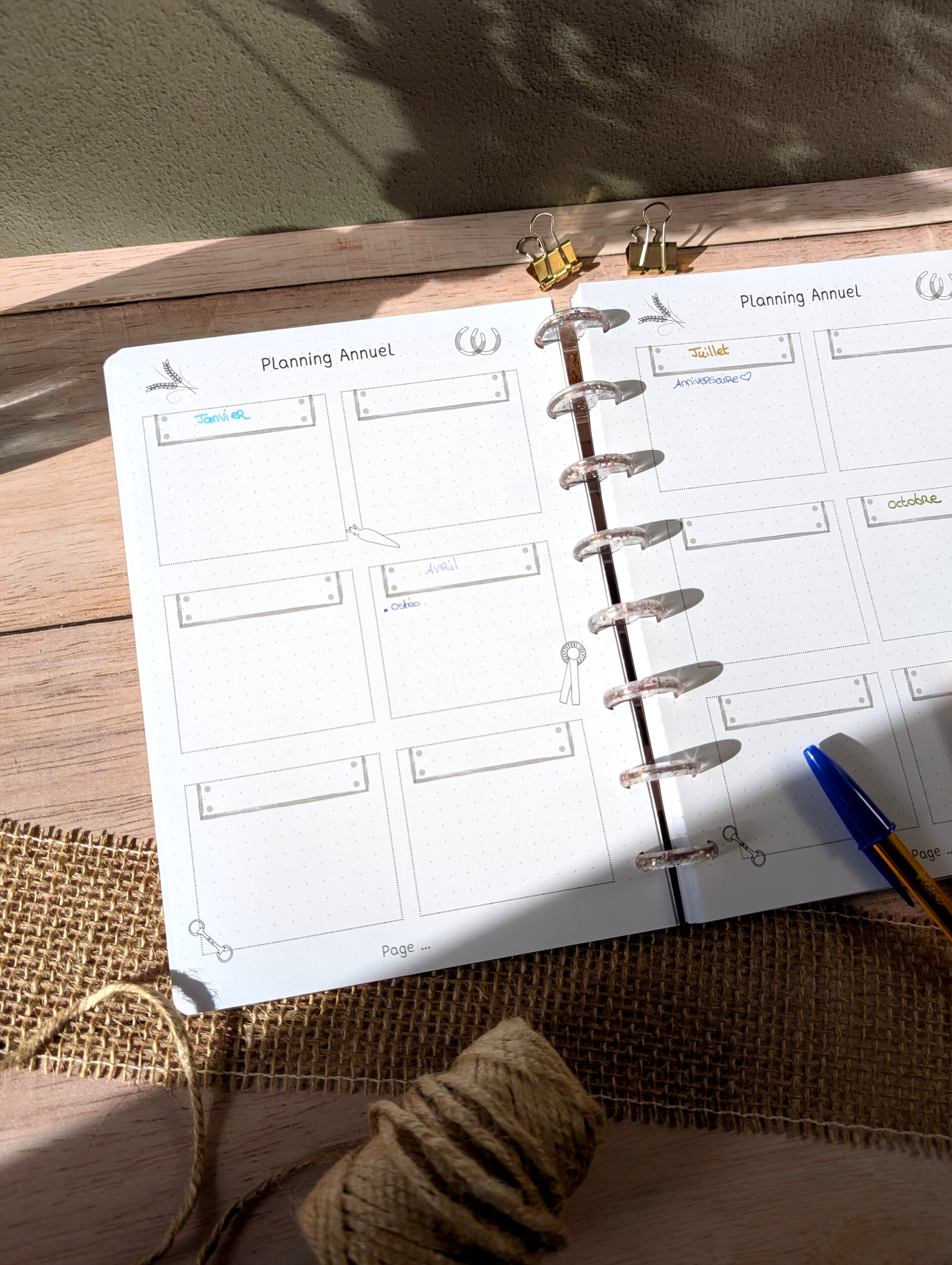 planning annuel 2