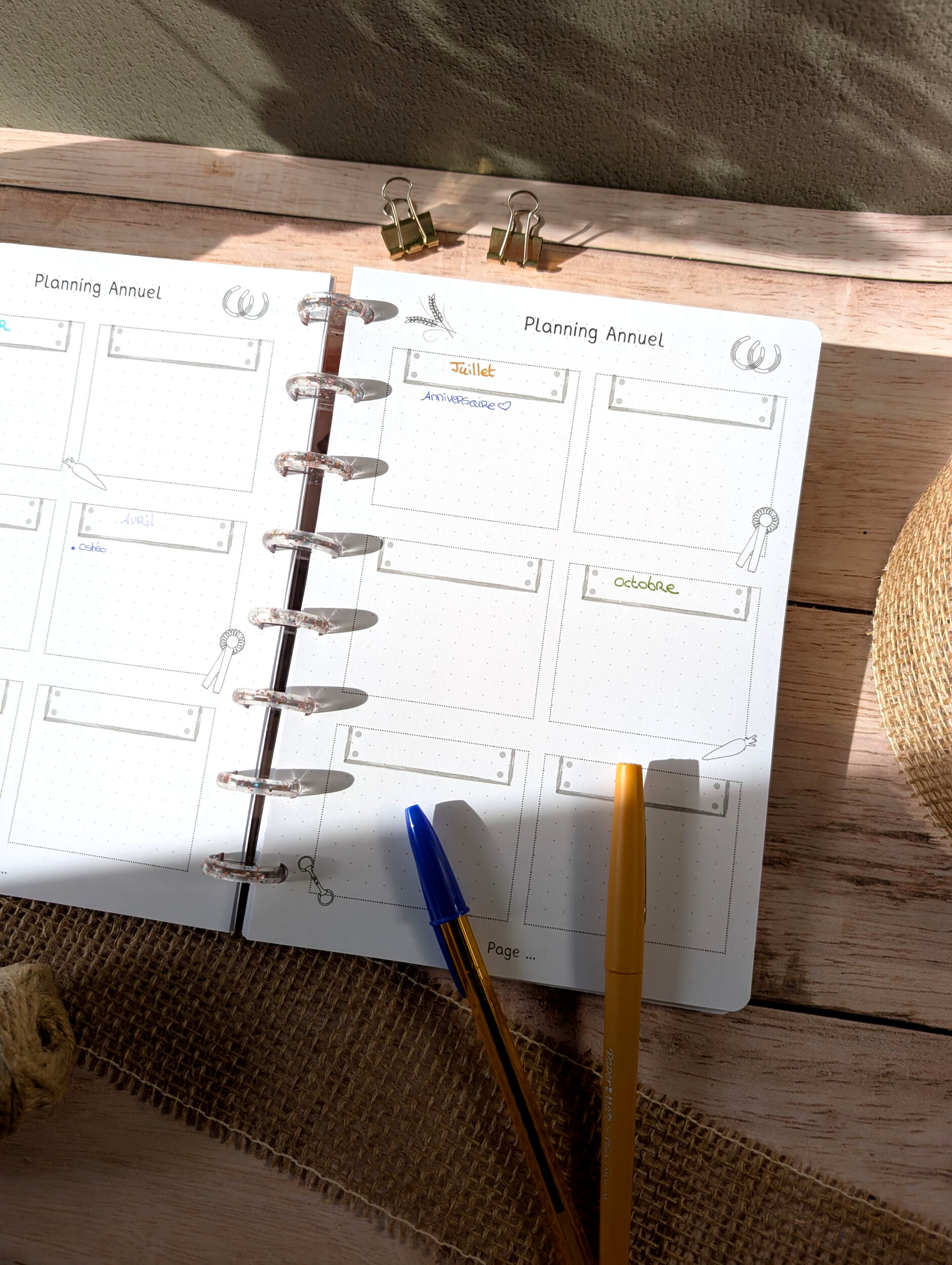 planning annuel 3