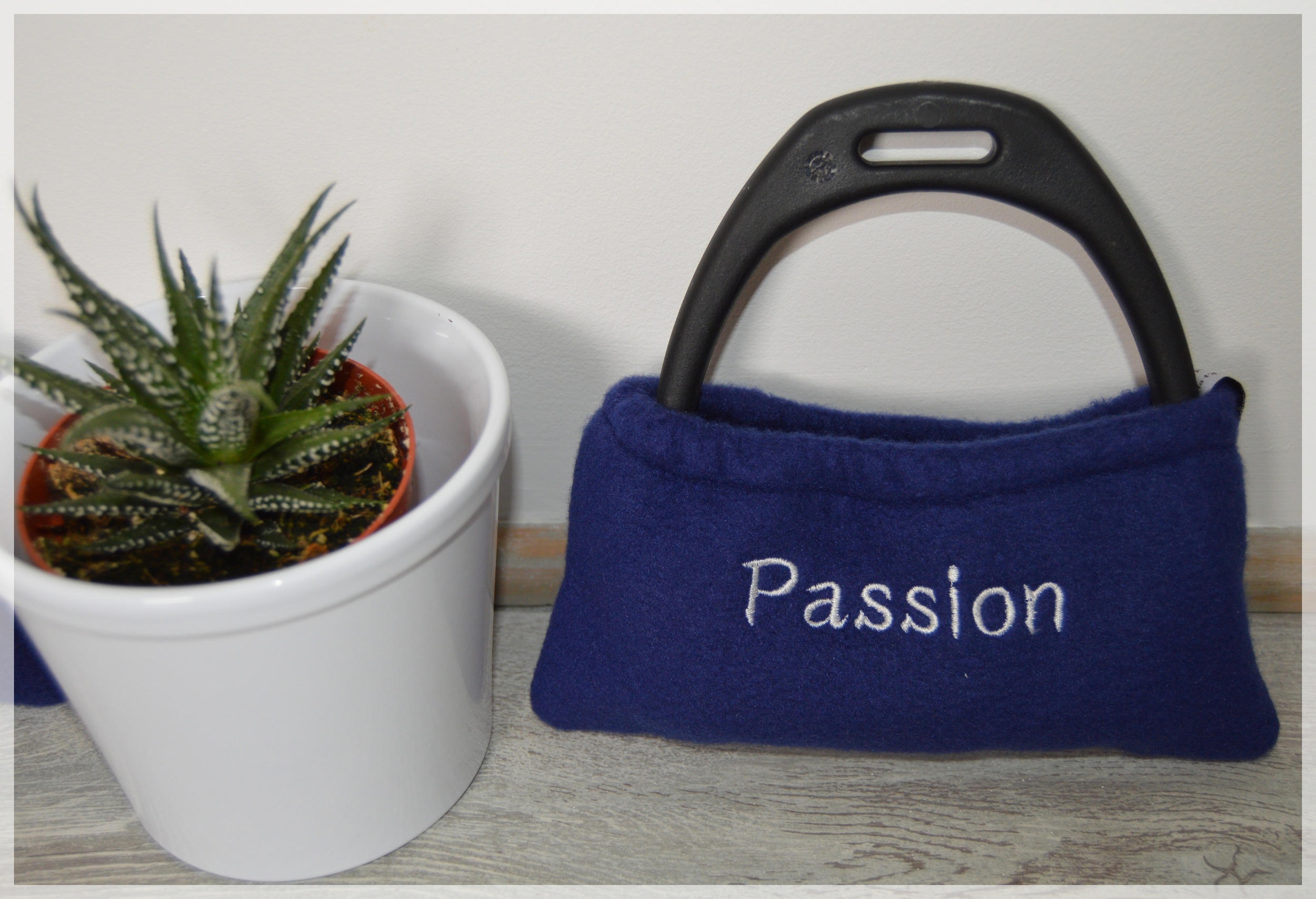 passion cheval (3)