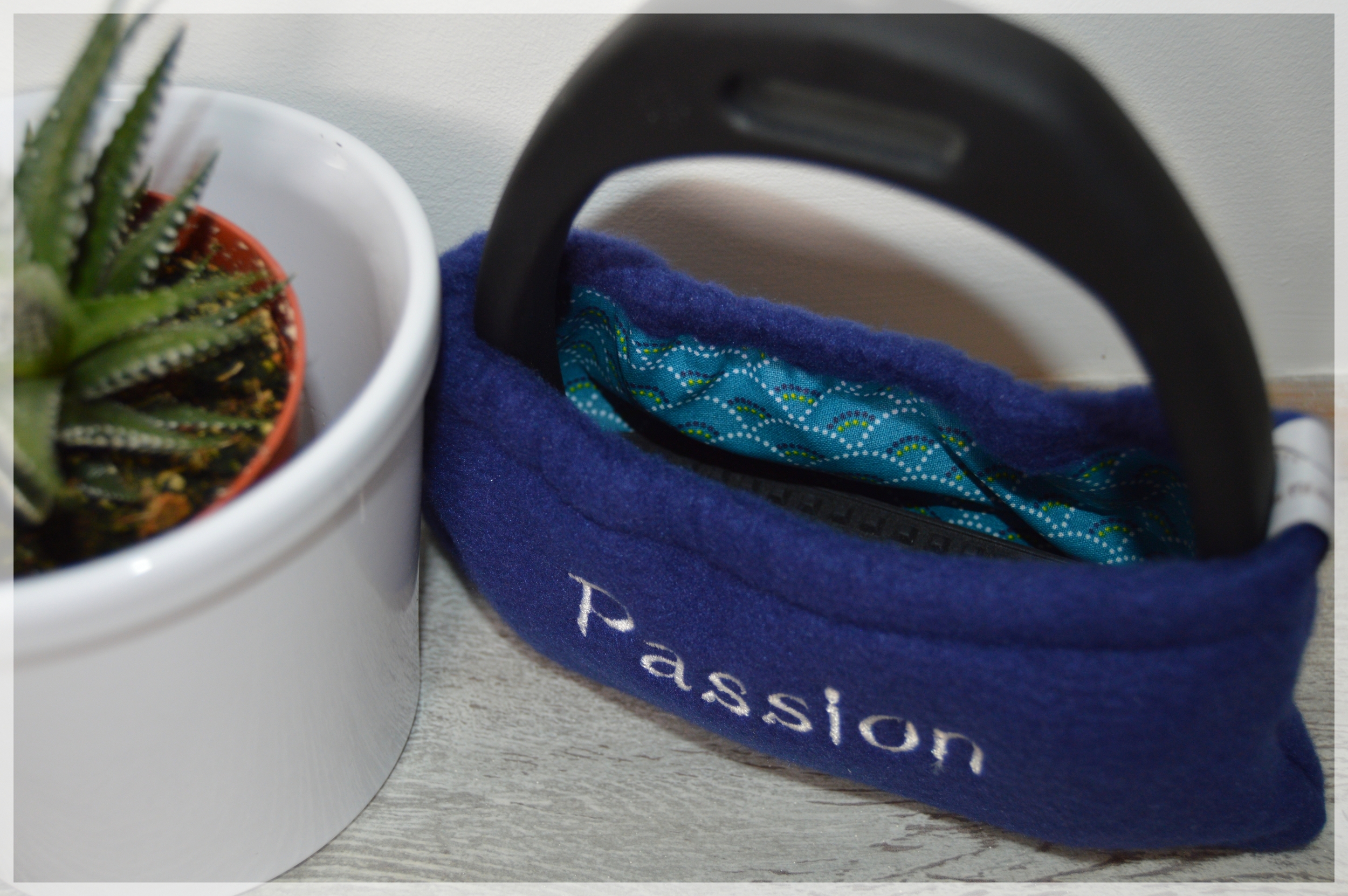 passion cheval (5)