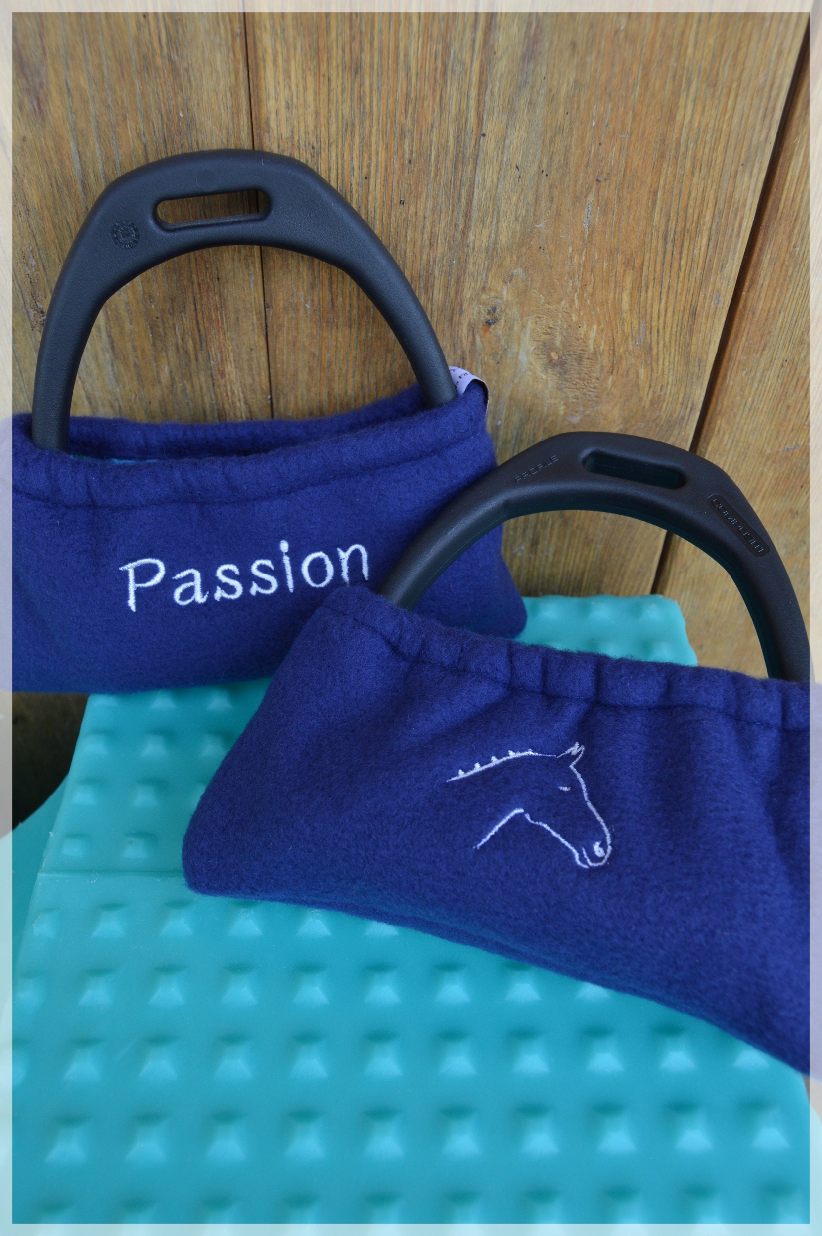 passion cheval (6)