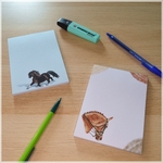 Blocs notes Dress et Poney bord