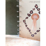 disques licorne S3